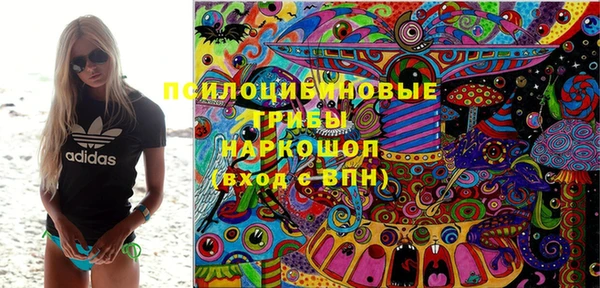 сатива Абдулино
