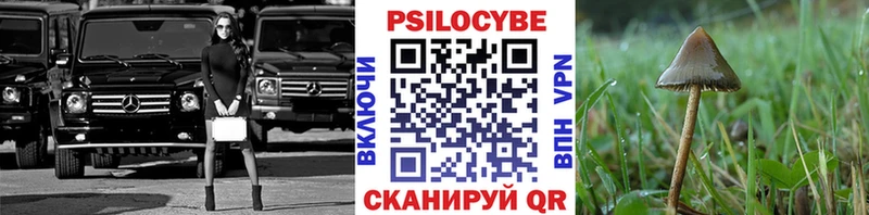 где купить   Костерёво  Псилоцибиновые грибы прущие грибы 